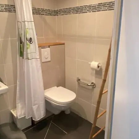 Maison Avec Piscine Interieure Chauffee,sauna, Et Billard 度假居