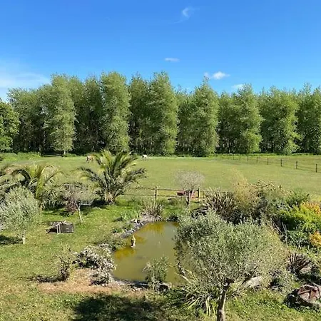 度假居 Maison Avec Piscine Interieure Chauffee,sauna, Et Billard Bretteville-sur-Ay